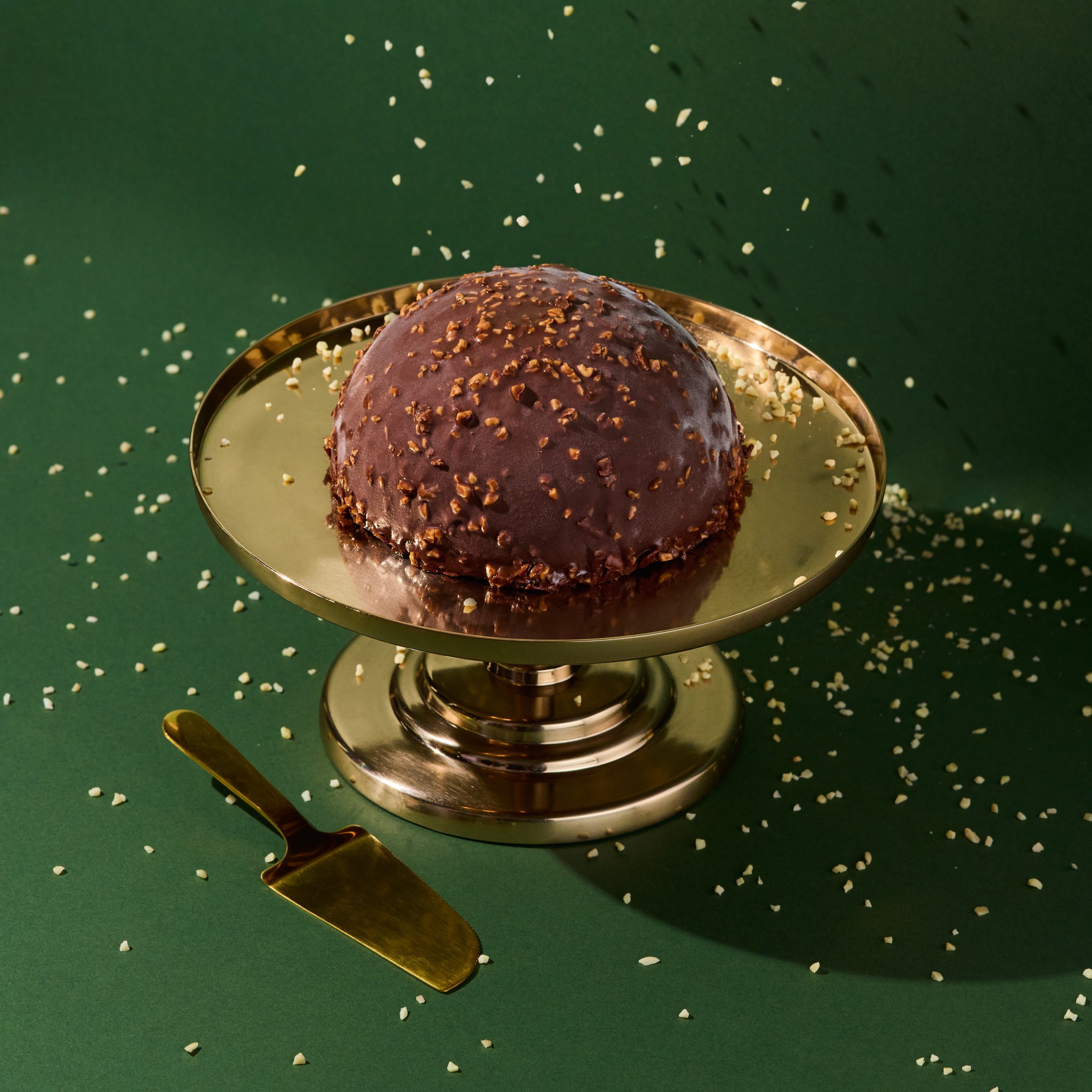 Dome-shaped chocolate ice cream cake coated in dark chocolate and studded with chopped caramelised hazelnuts